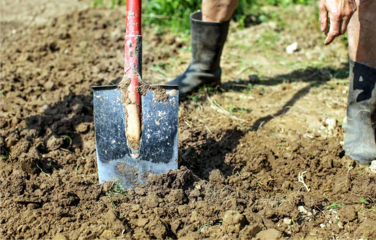Sebze bahçesi için toprak doğru şekilde nasıl kazılır