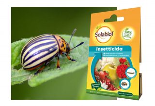 Solabiol'ün başarısı: biyolojik insektisit Spinosad